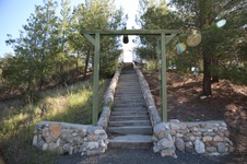 Enlarge photo 215