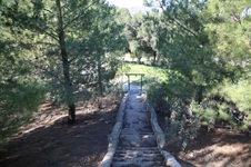 Enlarge photo 217