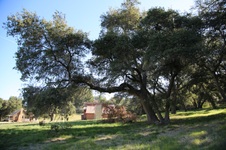 Enlarge photo 220