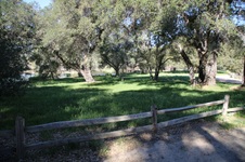 Enlarge photo 221