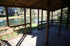 Enlarge photo 229