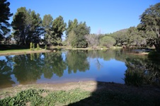Enlarge photo 230