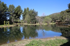 Enlarge photo 232