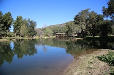 Enlarge photo 233