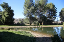 Enlarge photo 237