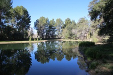 Enlarge photo 238