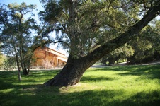 Enlarge photo 239