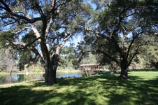 Enlarge photo 240