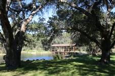 Enlarge photo 241