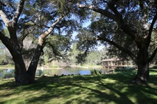 Enlarge photo 242