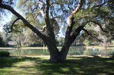 Enlarge photo 243