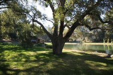 Enlarge photo 245