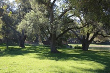 Enlarge photo 246