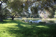 Enlarge photo 247