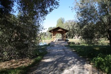 Enlarge photo 248