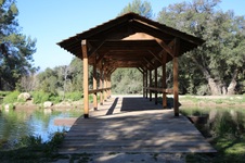 Enlarge photo 249