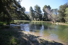 Enlarge photo 250
