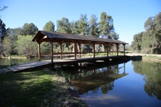 Enlarge photo 252