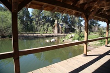 Enlarge photo 254