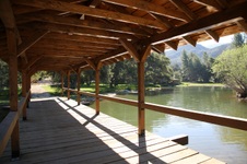 Enlarge photo 255
