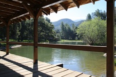 Enlarge photo 256