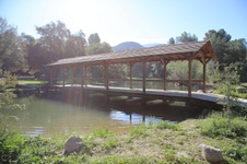 Enlarge photo 257