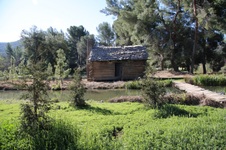 Enlarge photo 259