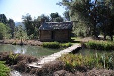 Enlarge photo 260