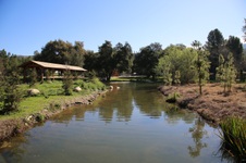 Enlarge photo 262