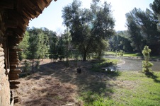 Enlarge photo 267