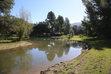 Enlarge photo 270