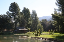 Enlarge photo 271
