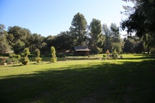 Enlarge photo 274