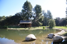 Enlarge photo 278