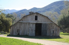 Enlarge photo 279