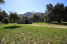 Enlarge photo 280