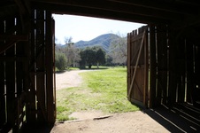 Enlarge photo 293