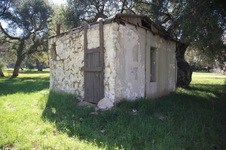 Enlarge photo 303