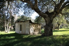 Enlarge photo 305
