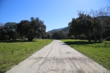 Enlarge photo 307