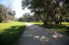 Enlarge photo 308