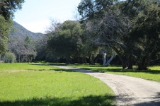 Enlarge photo 309