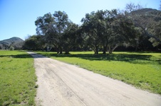 Enlarge photo 310
