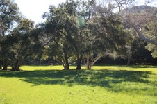 Enlarge photo 311