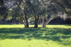 Enlarge photo 312
