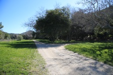 Enlarge photo 313