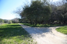 Enlarge photo 314