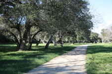Enlarge photo 315