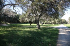 Enlarge photo 316