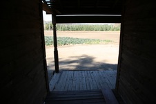 Enlarge photo 415